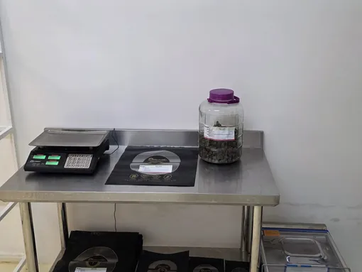 Processing station with scales