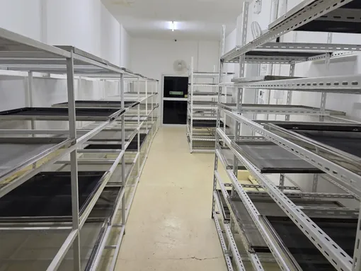 Drying room racks