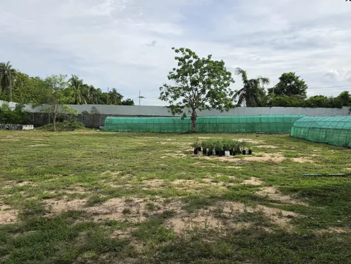The land and greenhouse structures