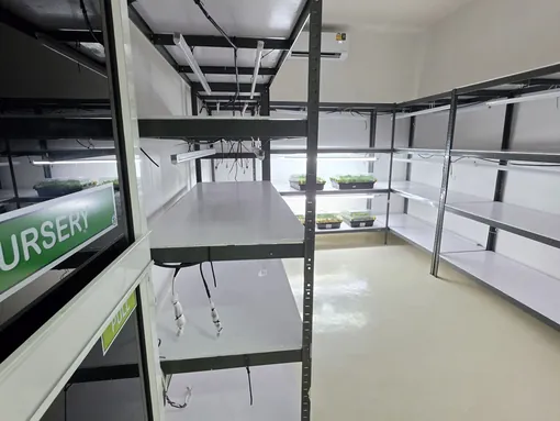 Nursery room