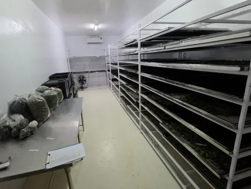 Curing and storage room